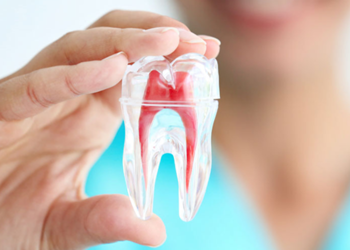 Giải đáp thắc mắc: Điều trị tủy răng có đau không?